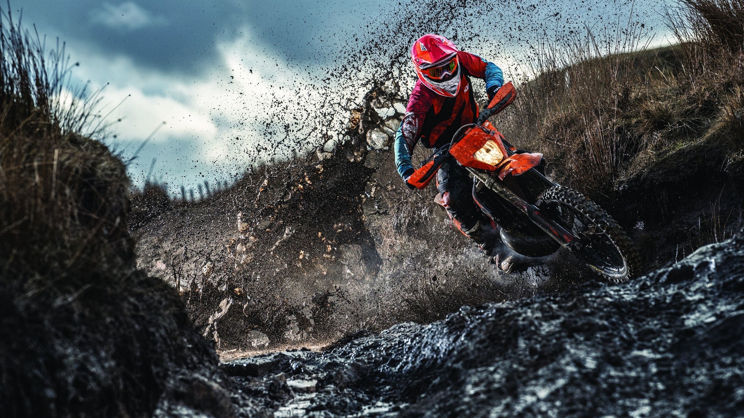 乐鱼官网入口-游泳世锦赛：中国队夺金不断，刷新历史纪录！，游泳世锦赛个人金牌榜